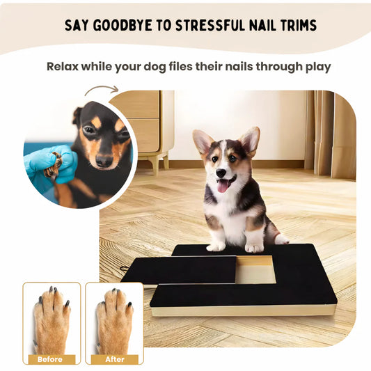 PuppyScratch™  Nail Board