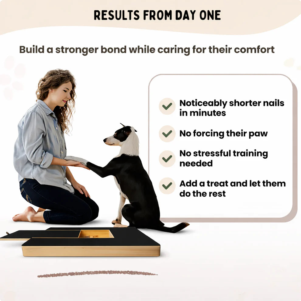PuppyScratch™  Nail Board