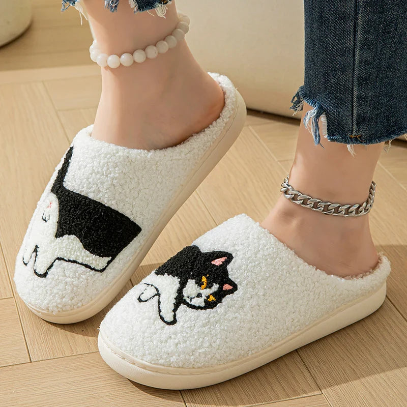 Cat slides